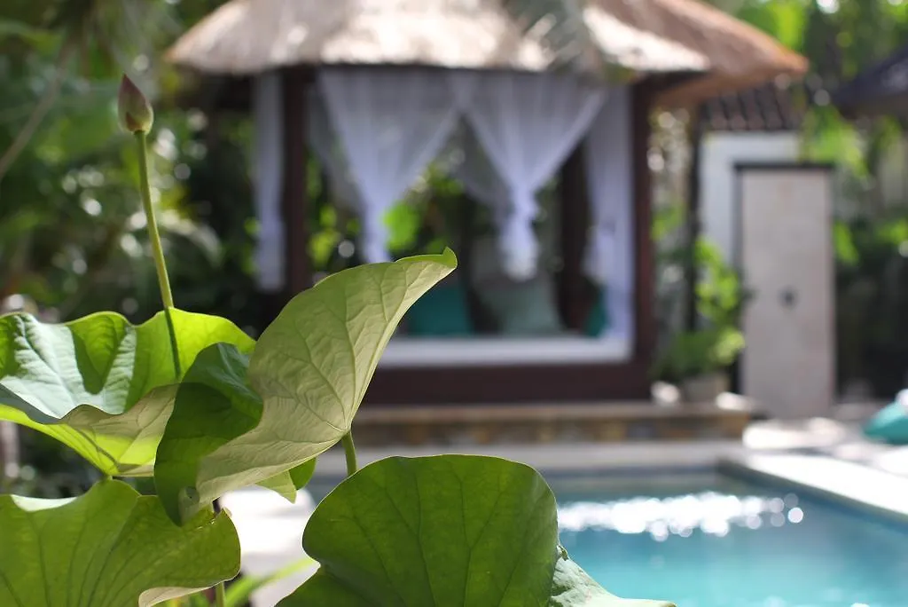 Villa Alu Lima Seminyak  0*, Seminyak (Bali) Indonesia