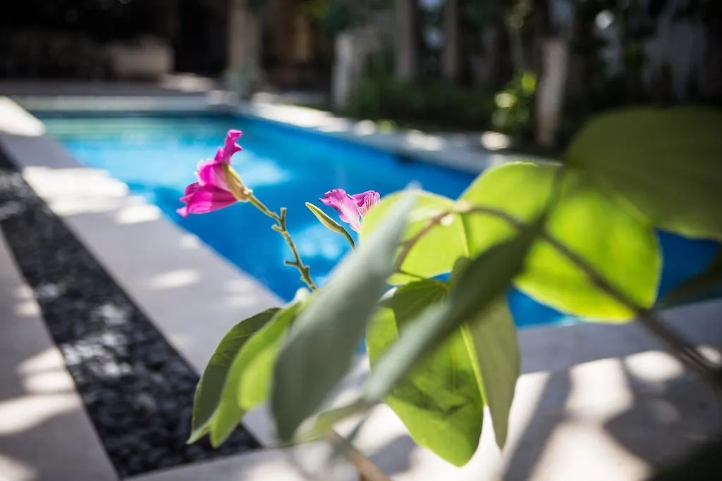 Villa Alu Lima Seminyak  0*, Seminyak (Bali)